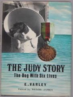 cover image of The Judy Story